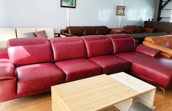 Giới thiệu về sofa da nhập khẩu Italia Đồng Nai